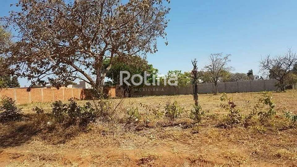 Terreno à venda, em Uberlândia no bairro Morada Nova no valor de R$ 165.000,00 - Rotina Imobiliária: 