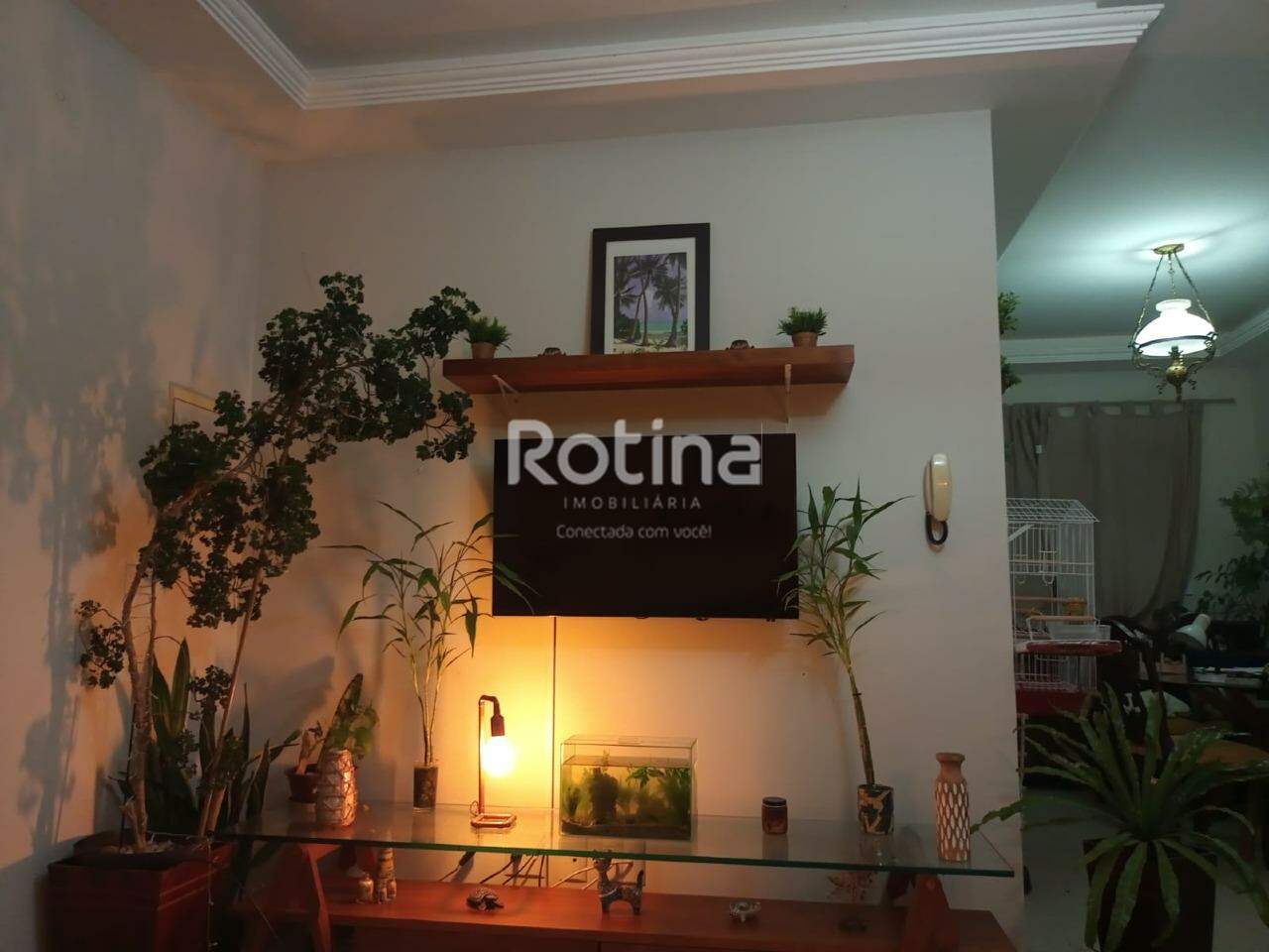 Apartamento à venda, 3 quartos em Uberlândia no bairro Santa Mônica no valor de R$ 460.000,00 - Rotina Imobiliária: 