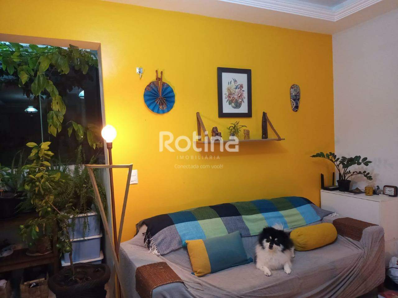 Apartamento à venda, 3 quartos em Uberlândia no bairro Santa Mônica no valor de R$ 460.000,00 - Rotina Imobiliária: 