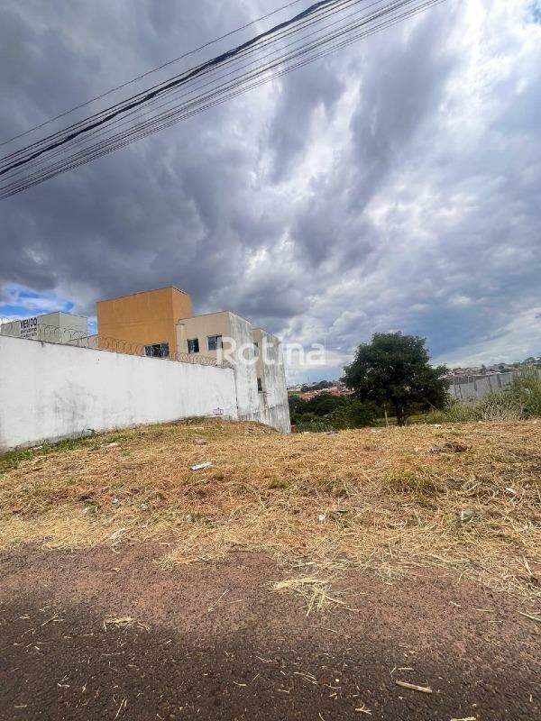 Terreno à venda, em Uberlândia no bairro Santa Rosa no valor de R$ 150.000,00 - Rotina Imobiliária: 