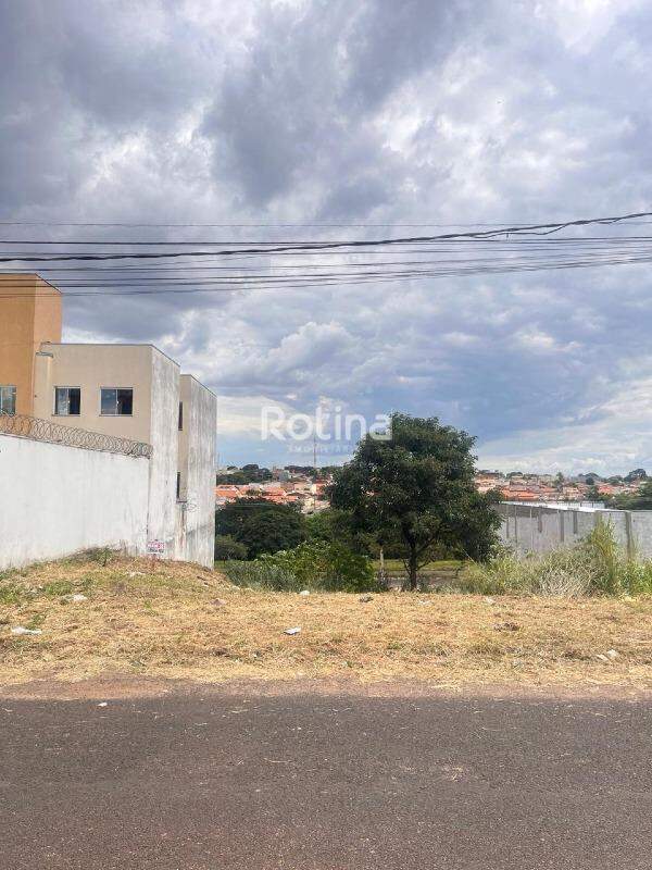 Terreno à venda, em Uberlândia no bairro Santa Rosa no valor de R$ 150.000,00 - Rotina Imobiliária: 