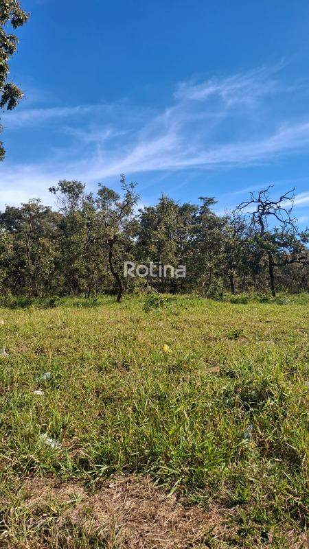 Terreno à venda, em Uberlândia no bairro Panorama no valor de R$ 1.600.000,00 - Rotina Imobiliária: 
