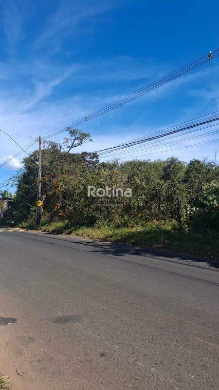 Terreno à venda, em Uberlândia no bairro Panorama no valor de R$ 1.600.000,00 - Rotina Imobiliária: 