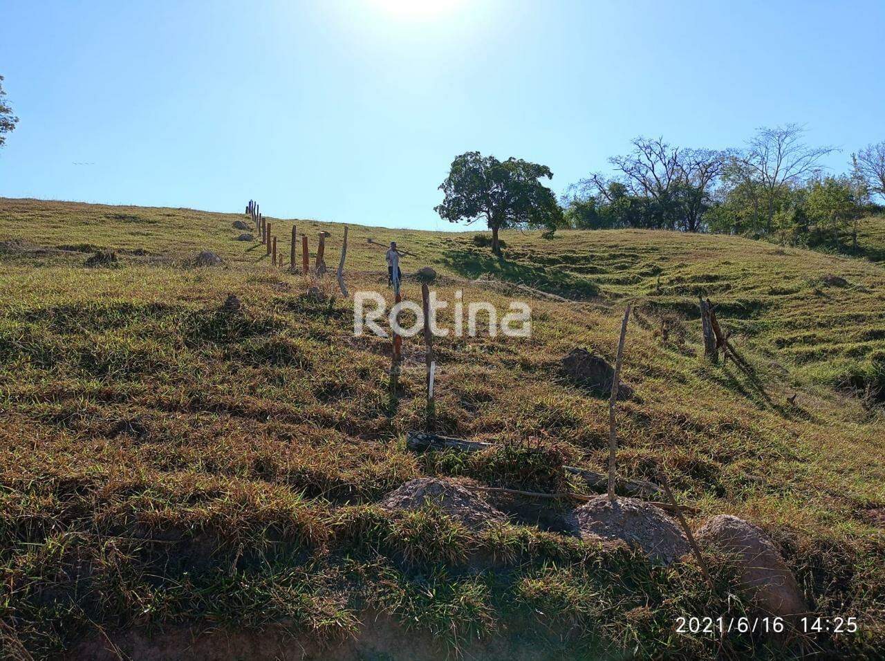 Chacara à venda, em Uberlândia no bairro Zona Rural no valor de R$ 1.000.000,00 - Rotina Imobiliária: 