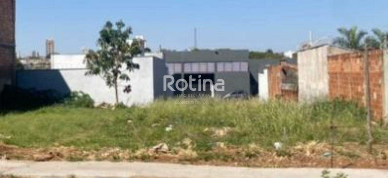 Terreno à venda, em Uberlândia no bairro Pampulha no valor de R$ 450.000,00 - Rotina Imobiliária: 
