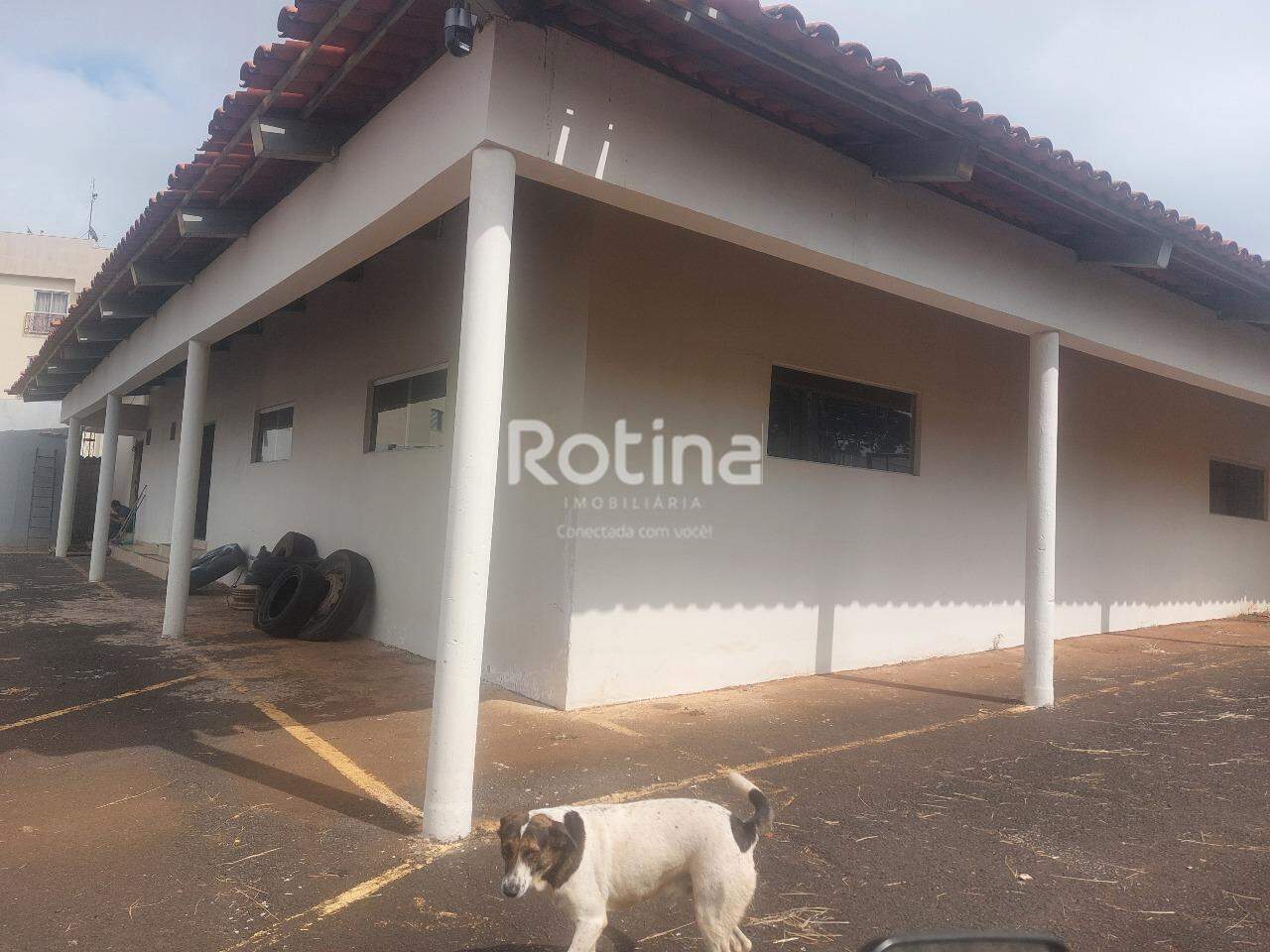 Galpão para alugar, em Uberlândia no bairro Presidente Roosevelt no valor de R$ 30.000,00 - Rotina Imobiliária: 
