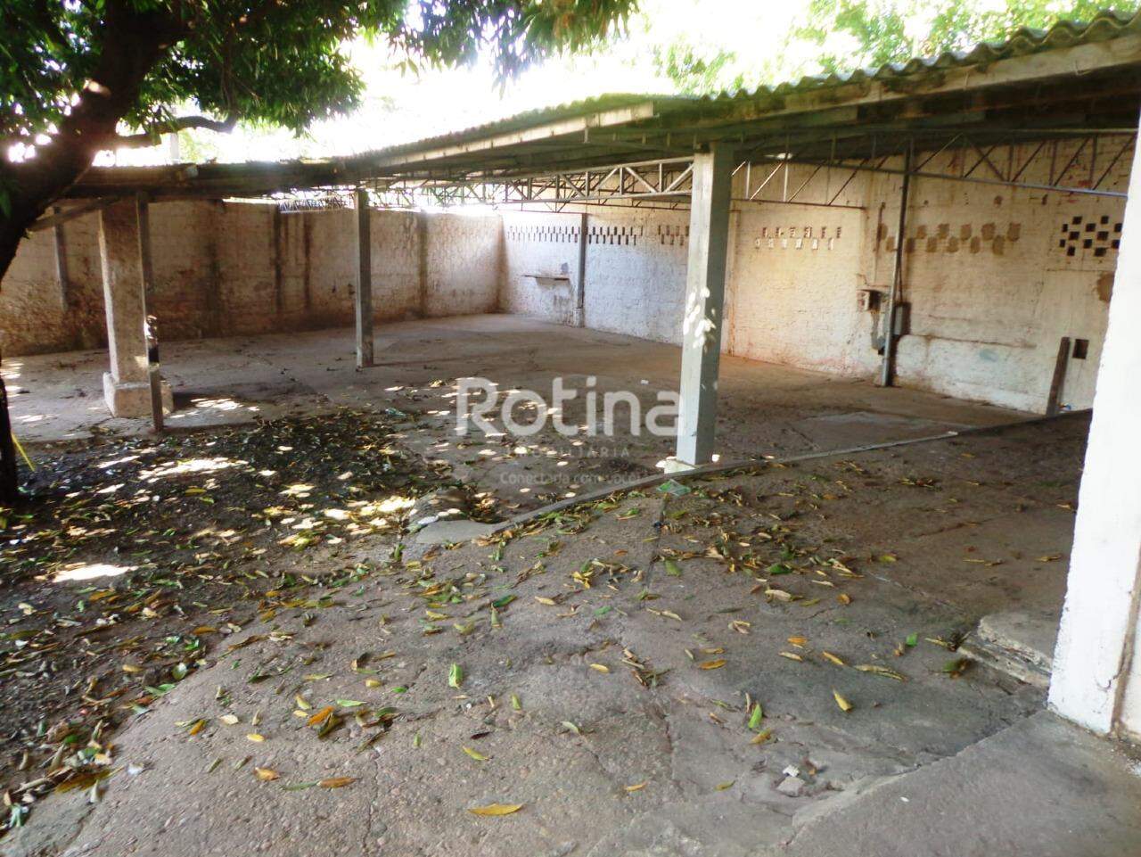 Terreno para alugar, em Uberlândia no bairro Tubalina no valor de R$ 4.900,00 - Rotina Imobiliária: 