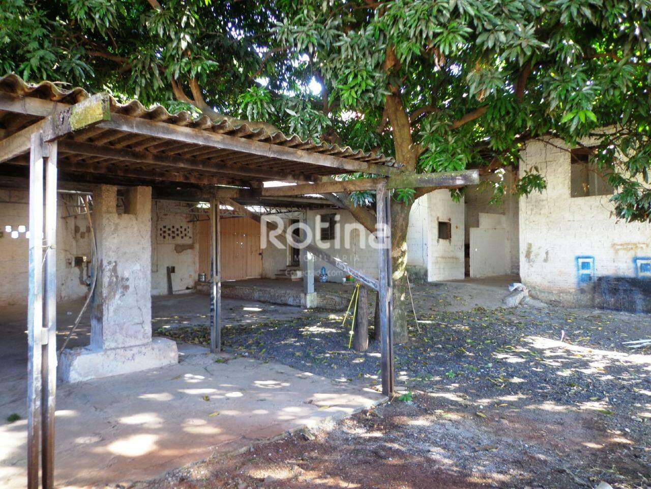 Terreno para alugar, em Uberlândia no bairro Tubalina no valor de R$ 4.900,00 - Rotina Imobiliária: 