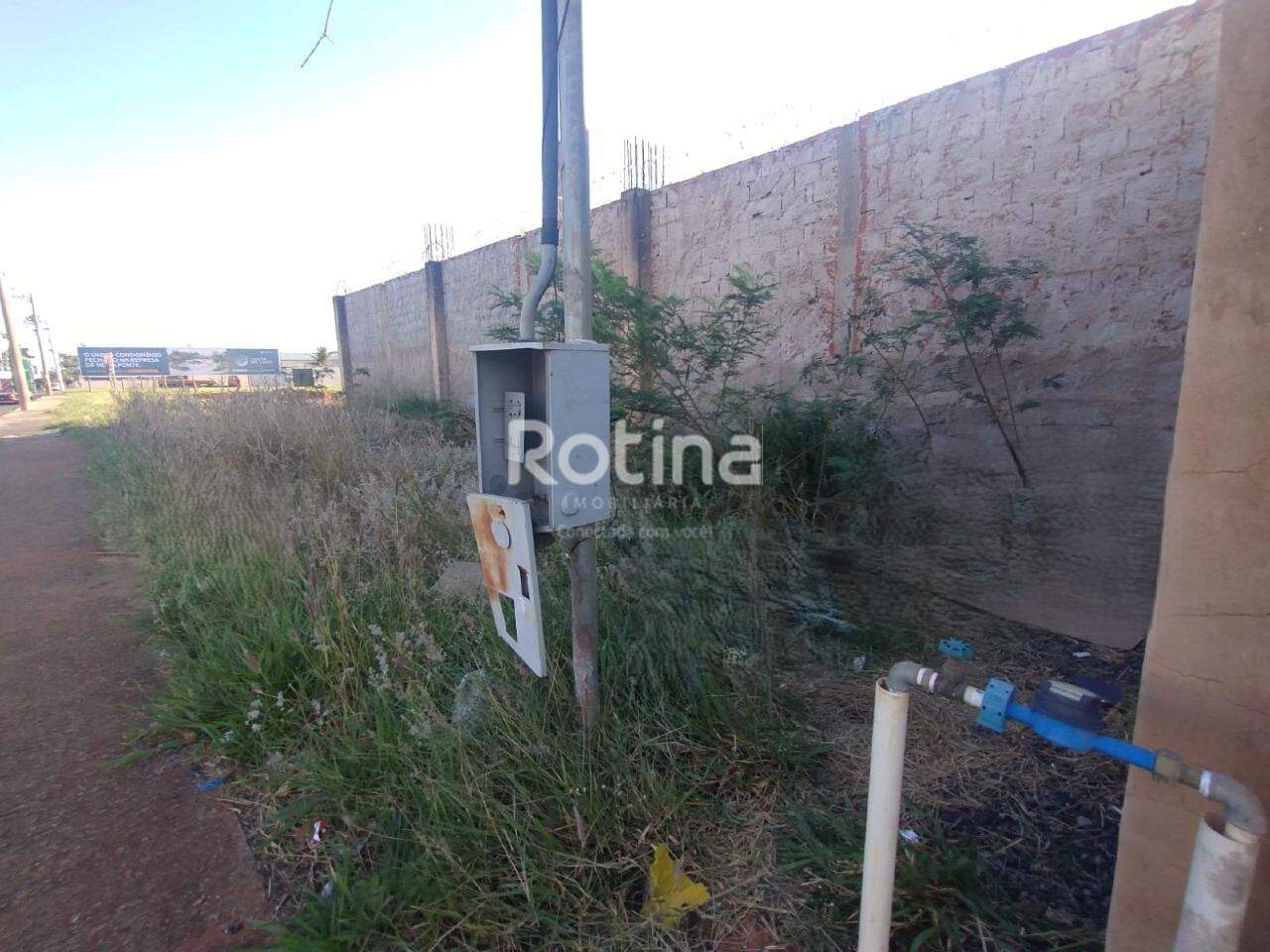 Área para alugar, em Uberlândia no bairro Aclimação no valor de R$ 6.000,00 - Rotina Imobiliária: 