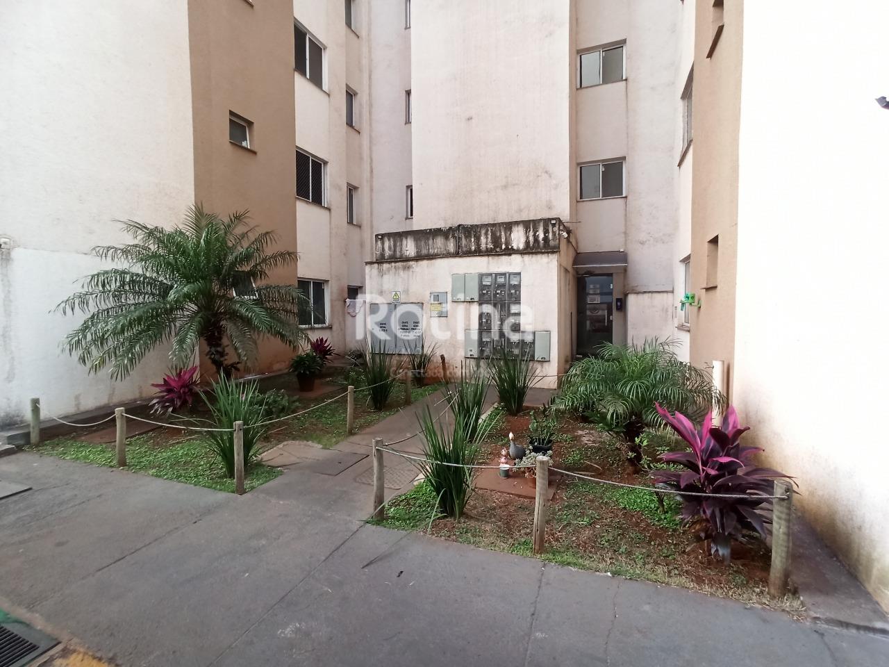 Apartamento para alugar, 2 quartos em Uberlândia no bairro Luizote de Freitas no valor de R$ 1.100,00 - Rotina Imobiliária: 