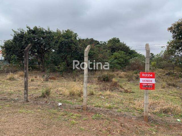 Área à venda, em Uberlândia no bairro Distrito Industrial no valor de R$ 8.000.000,00 - Rotina Imobiliária: 