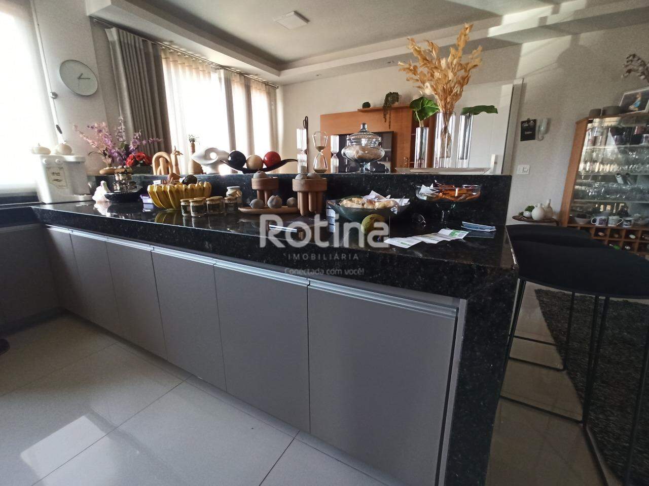 Apartamento para alugar, 2 quartos em Uberlândia no bairro Segismundo Pereira no valor de R$ 3.800,00 - Rotina Imobiliária: 