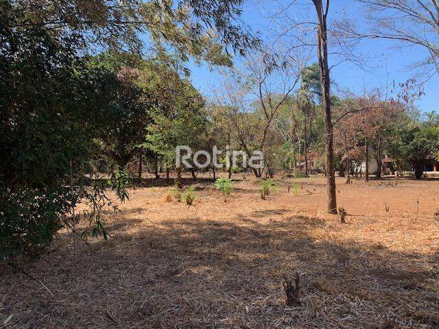 Chacara à venda, 3 quartos em Uberlândia no bairro Panorama no valor de R$ 1.650.000,00 - Rotina Imobiliária: 