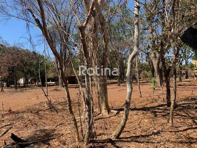 Chacara à venda, 3 quartos em Uberlândia no bairro Panorama no valor de R$ 1.650.000,00 - Rotina Imobiliária: 