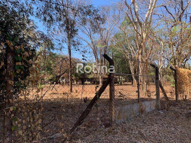 Chacara à venda, 3 quartos em Uberlândia no bairro Panorama no valor de R$ 1.650.000,00 - Rotina Imobiliária: 