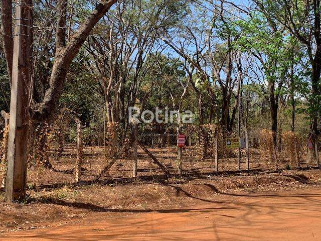 Chacara à venda, 3 quartos em Uberlândia no bairro Panorama no valor de R$ 1.650.000,00 - Rotina Imobiliária: 