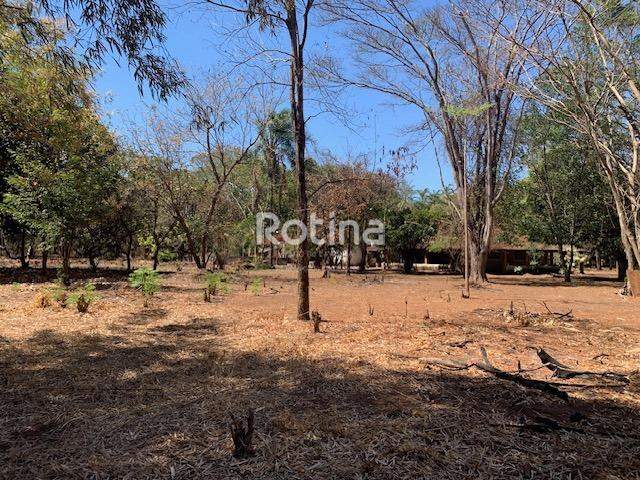 Chacara à venda, 3 quartos em Uberlândia no bairro Panorama no valor de R$ 1.650.000,00 - Rotina Imobiliária: 