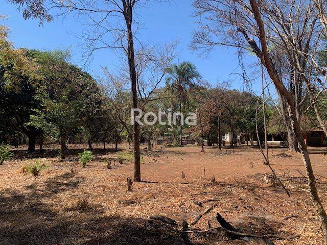 Chacara à venda, 3 quartos em Uberlândia no bairro Panorama no valor de R$ 1.650.000,00 - Rotina Imobiliária: 