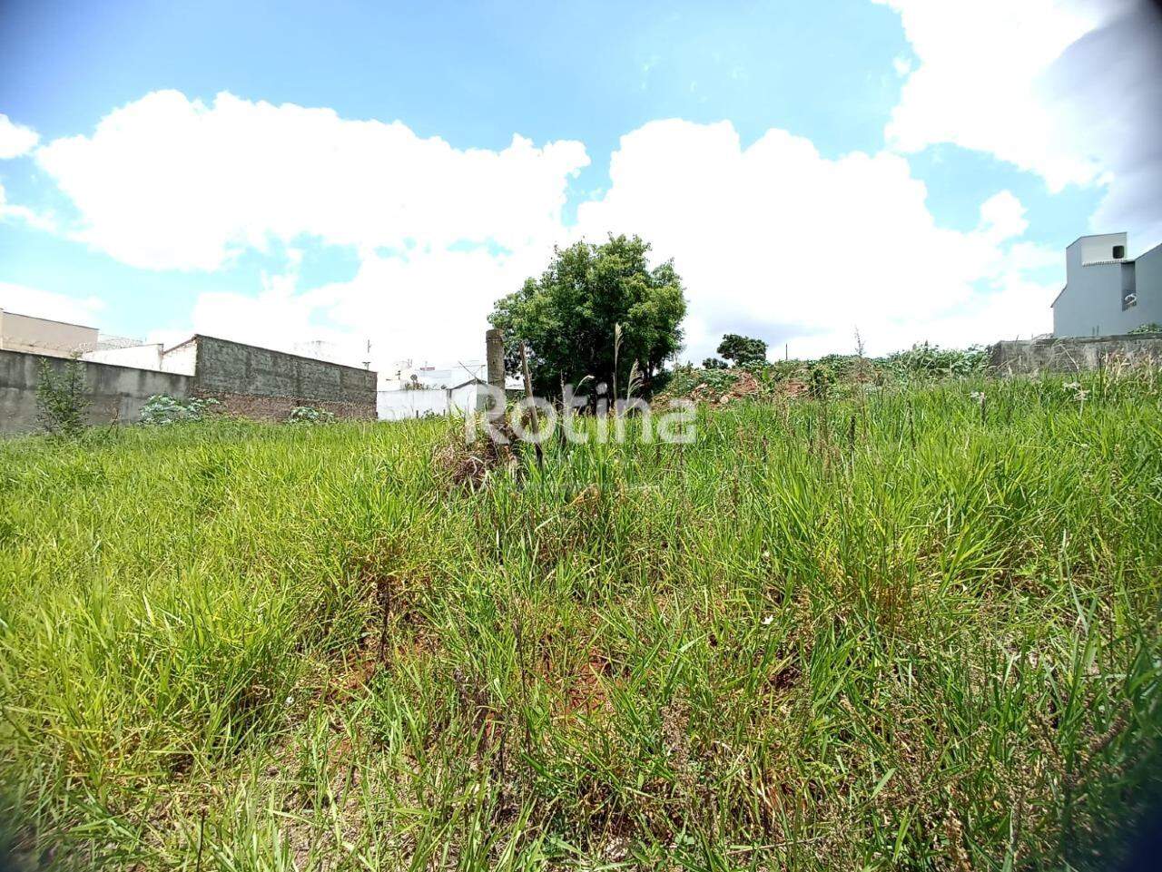Terreno à venda, em Uberlândia no bairro Vigilato Pereira no valor de R$ 150.000,00 - Rotina Imobiliária: 