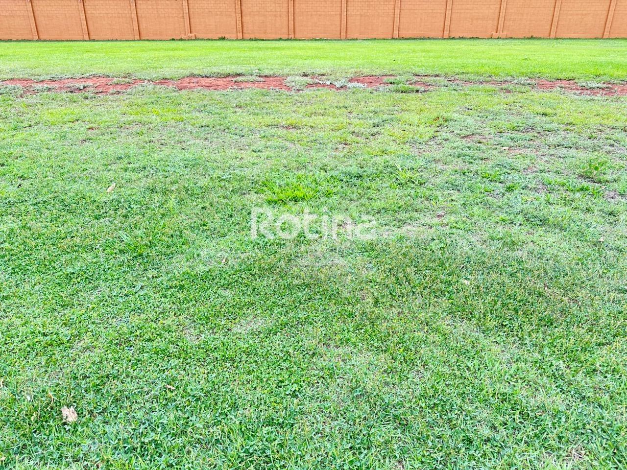 Terreno Condomínio Fechado à venda, em Uberlândia no bairro Cond. Alphaville I no valor de R$ 690.000,00 - Rotina Imobiliária: 