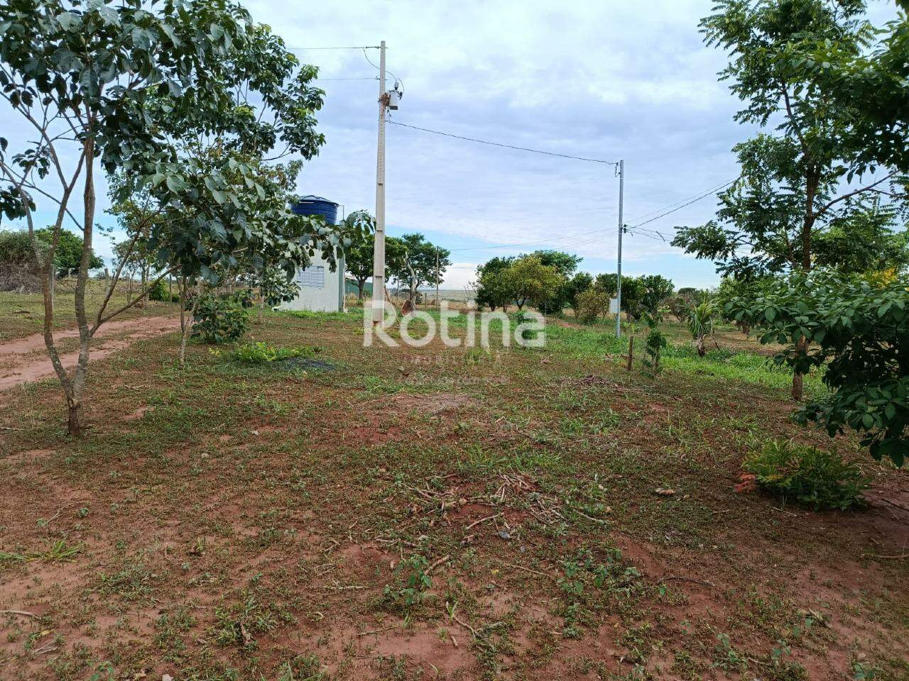 Fazenda à venda, 2 quartos em Uberlândia no bairro Zona Rural no valor de R$ 4.200.000,00 - Rotina Imobiliária: 
