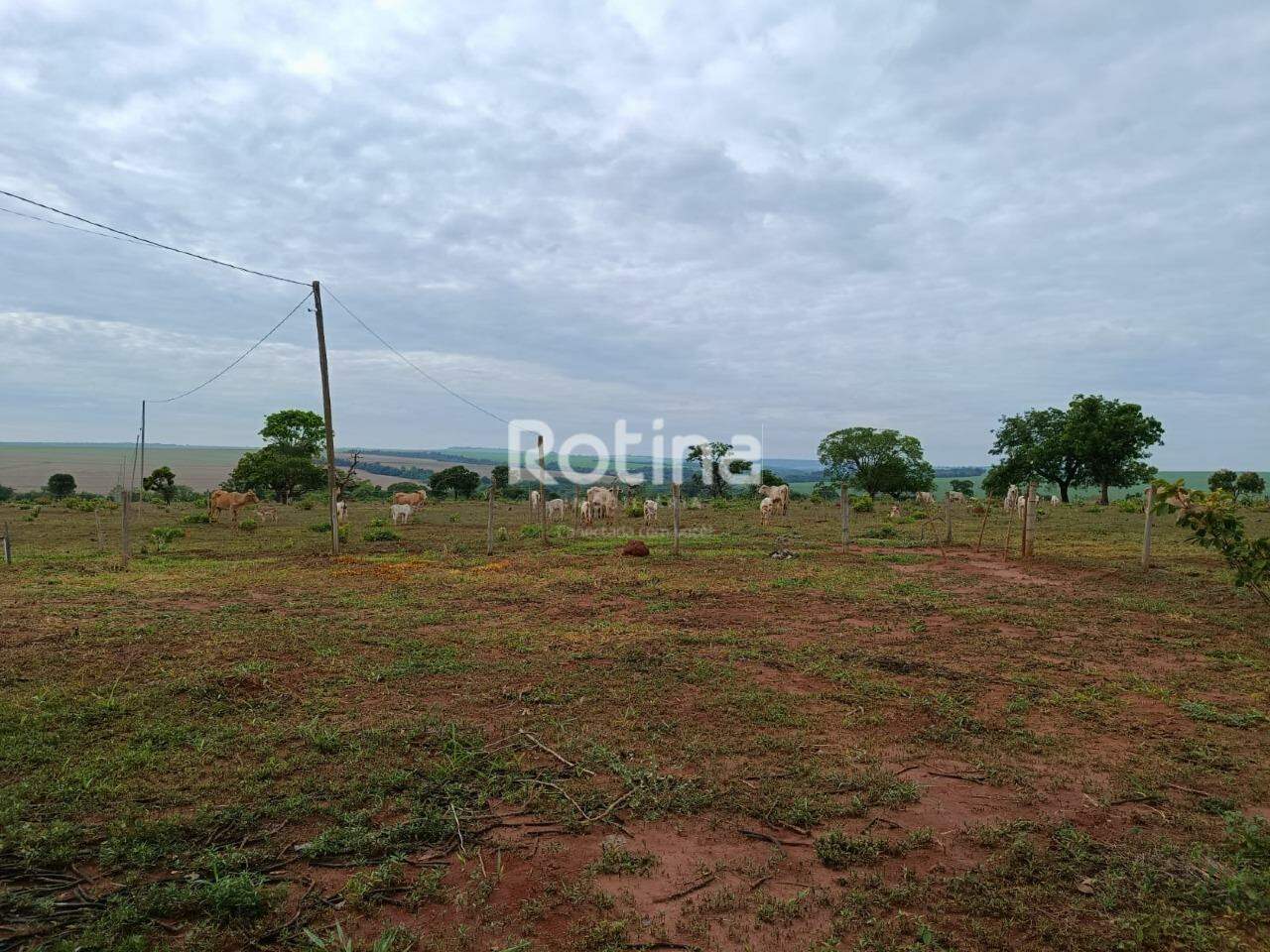 Fazenda à venda, 2 quartos em Uberlândia no bairro Zona Rural no valor de R$ 4.200.000,00 - Rotina Imobiliária: 