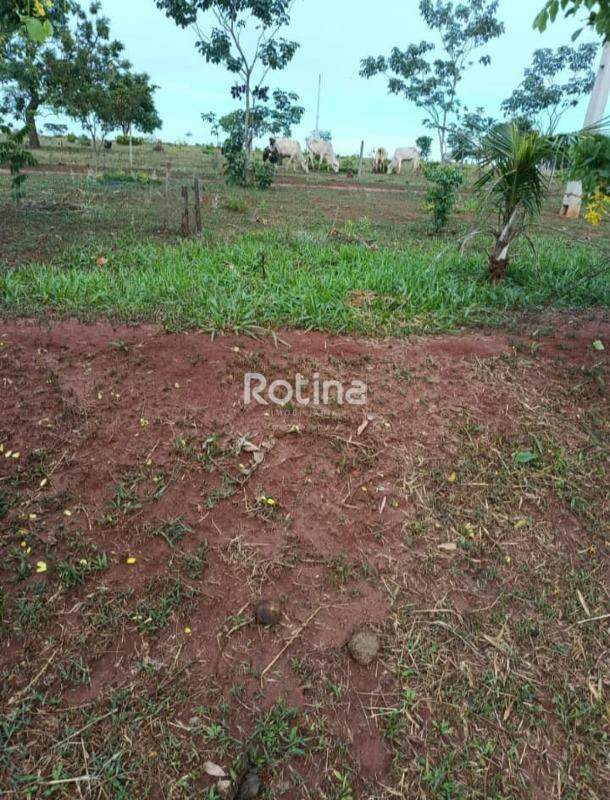 Fazenda à venda, 2 quartos em Uberlândia no bairro Zona Rural no valor de R$ 4.200.000,00 - Rotina Imobiliária: 