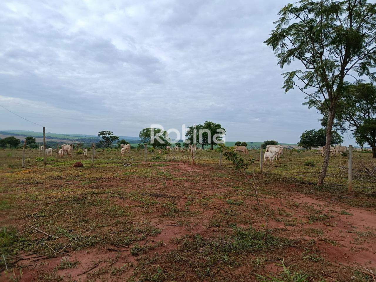 Fazenda à venda, 2 quartos em Uberlândia no bairro Zona Rural no valor de R$ 4.200.000,00 - Rotina Imobiliária: 