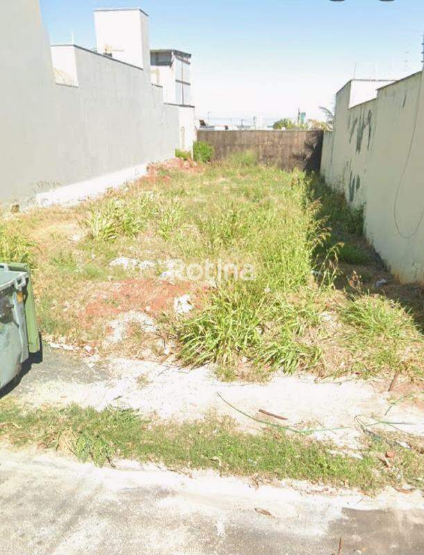 Terreno à venda, em Uberlândia no bairro Custódio Pereira no valor de R$ 350.000,00 - Rotina Imobiliária: 