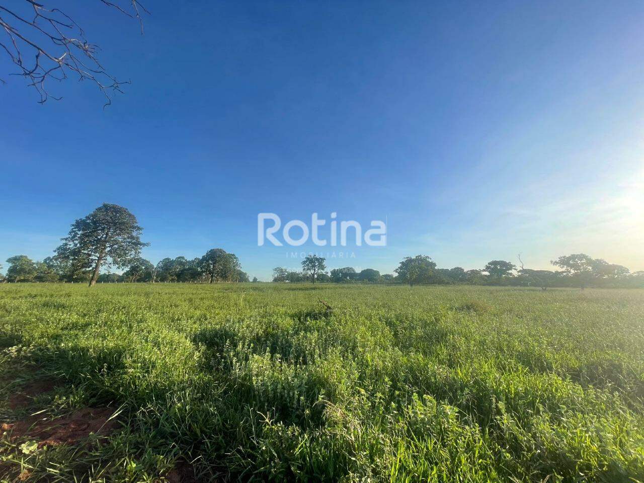 Chacara à venda, em Uberlândia no bairro Área Rural de Uberlândia no valor de R$ 900.000,00 - Rotina Imobiliária: 