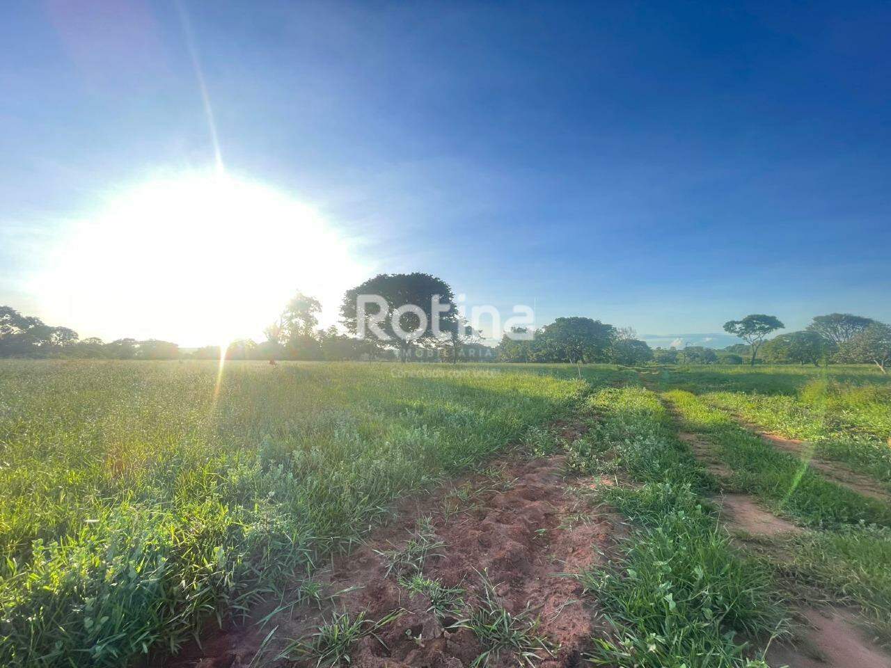 Chacara à venda, em Uberlândia no bairro Área Rural de Uberlândia no valor de R$ 900.000,00 - Rotina Imobiliária: 