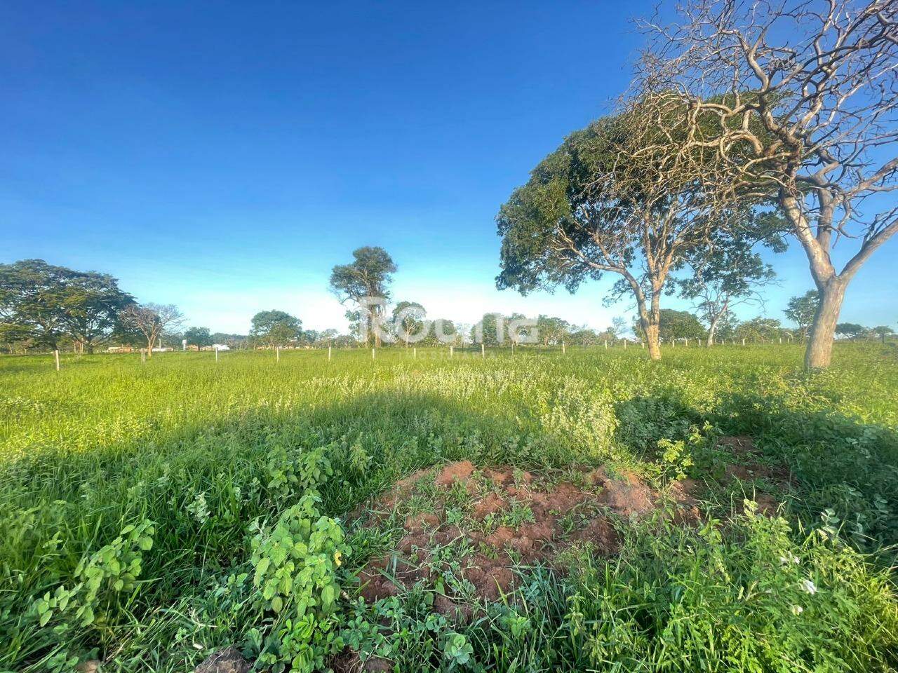 Chacara à venda, em Uberlândia no bairro Área Rural de Uberlândia no valor de R$ 900.000,00 - Rotina Imobiliária: 