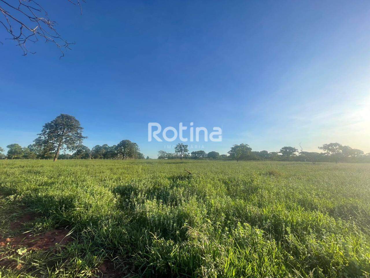 Chacara à venda, em Uberlândia no bairro Área Rural de Uberlândia no valor de R$ 900.000,00 - Rotina Imobiliária: 