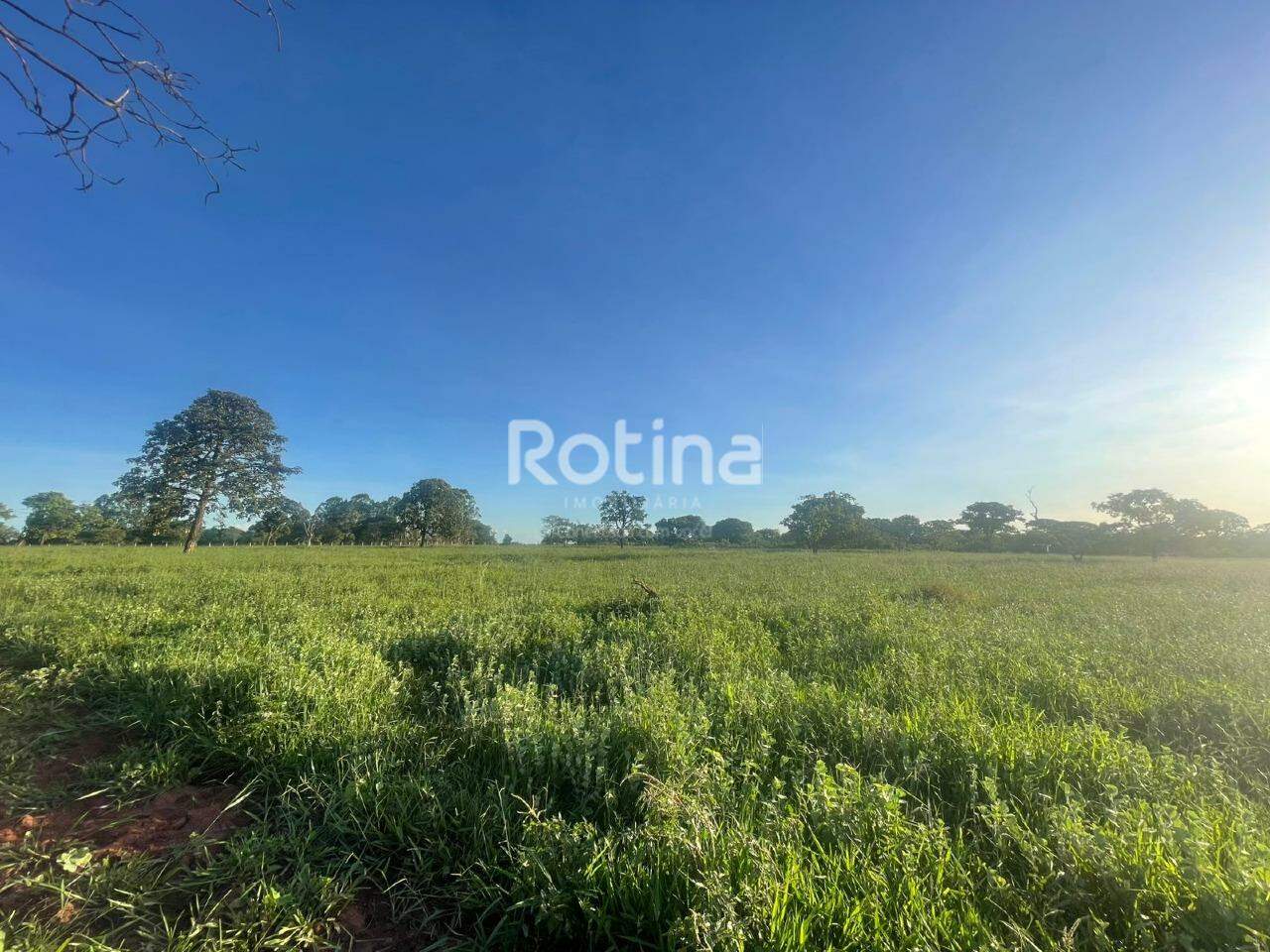 Chacara à venda, em Uberlândia no bairro Área Rural de Uberlândia no valor de R$ 900.000,00 - Rotina Imobiliária: 