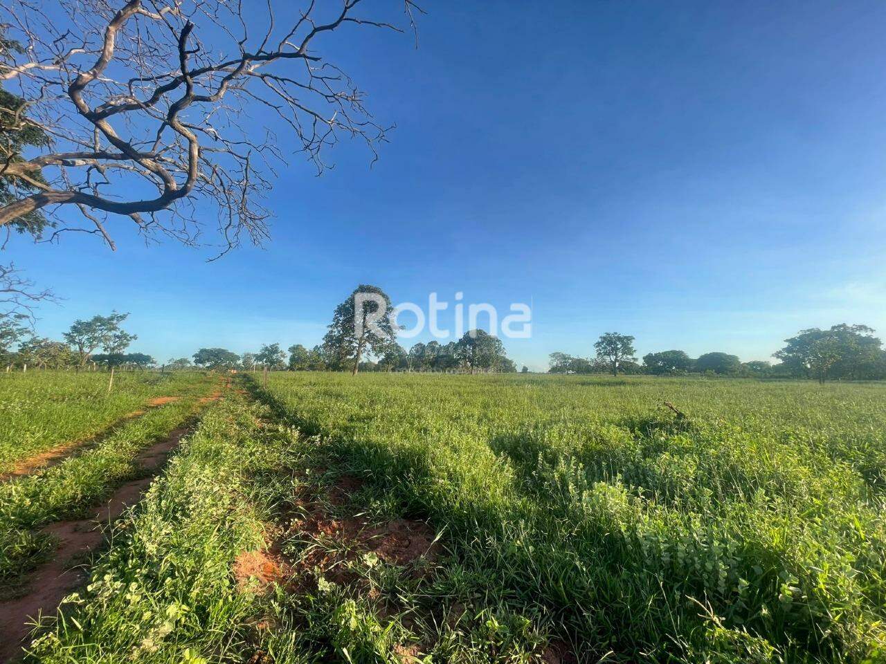 Chacara à venda, em Uberlândia no bairro Área Rural de Uberlândia no valor de R$ 900.000,00 - Rotina Imobiliária: 