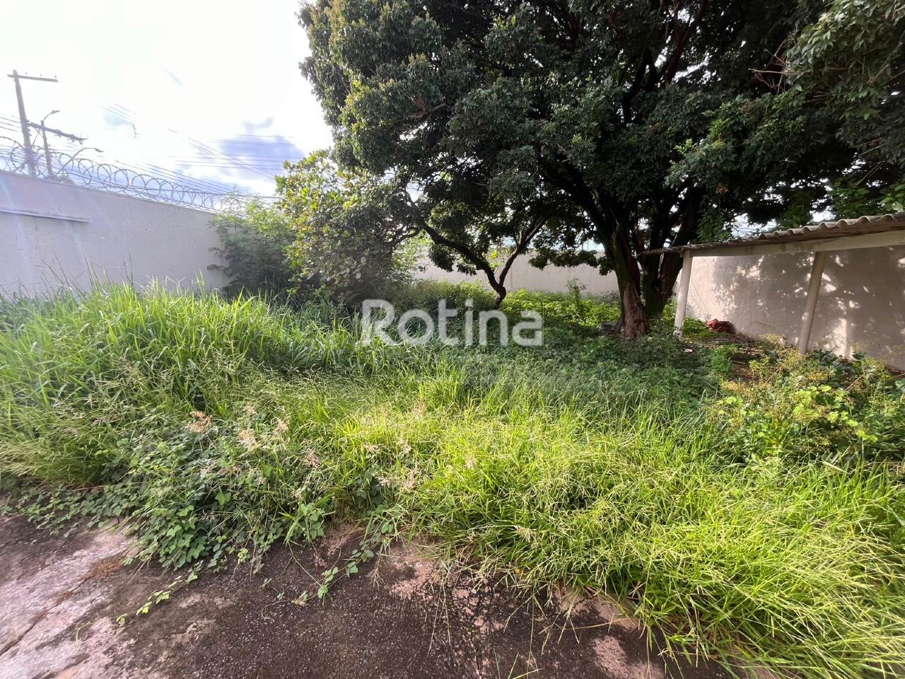 Terreno para alugar, em Uberlândia no bairro Martins no valor de R$ 1.500,00 - Rotina Imobiliária: 