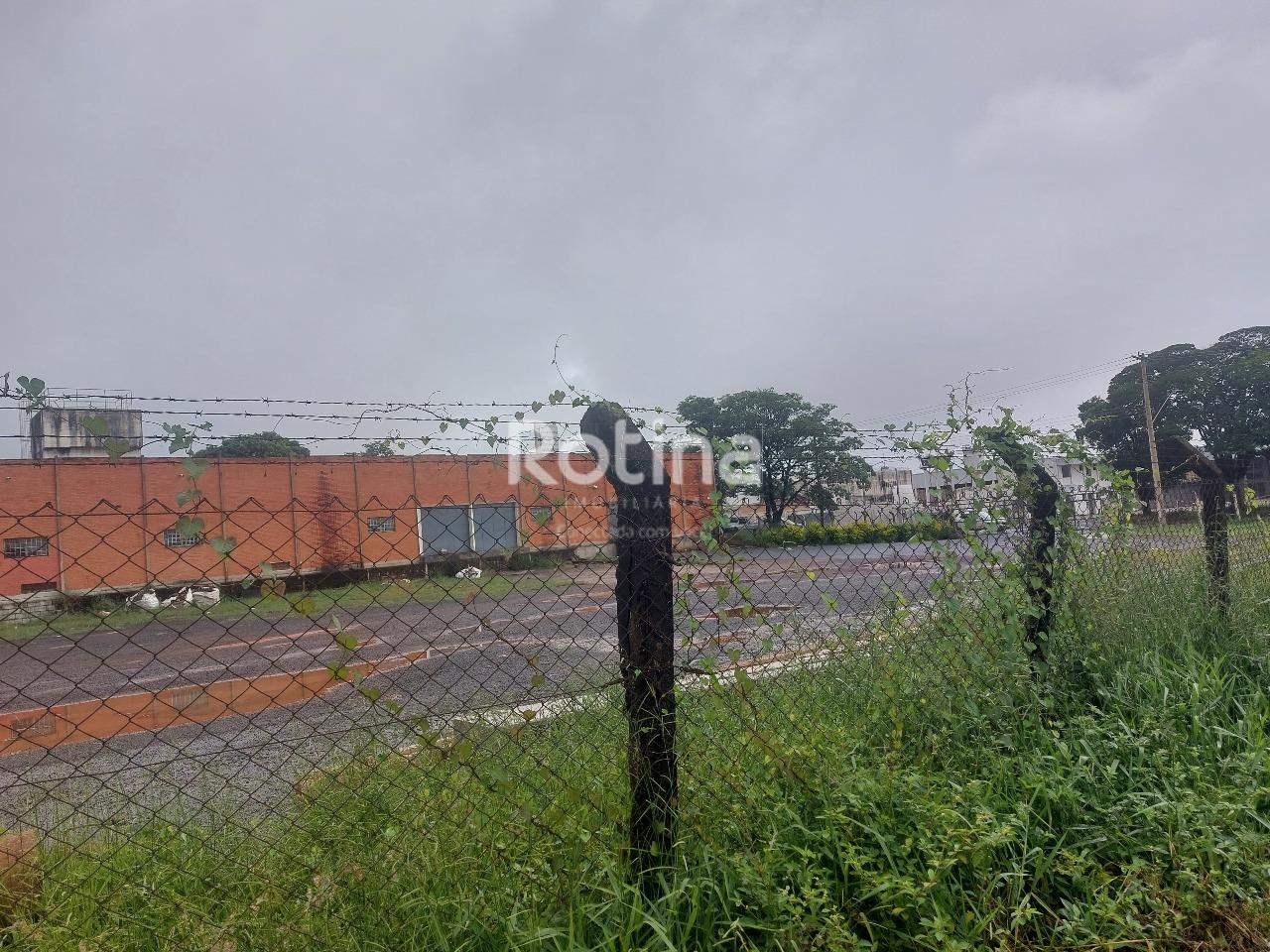 Garagem para alugar, em Uberlândia no bairro Distrito Industrial no valor de R$ 50.000,00 - Rotina Imobiliária: 