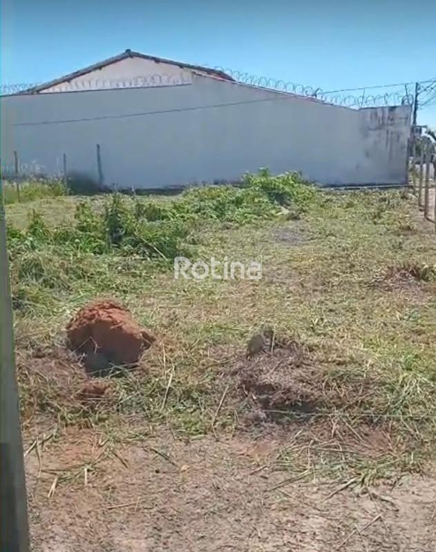 Terreno à venda, em Uberlândia no bairro Bosque dos Buritis no valor de R$ 250.000,00 - Rotina Imobiliária: 