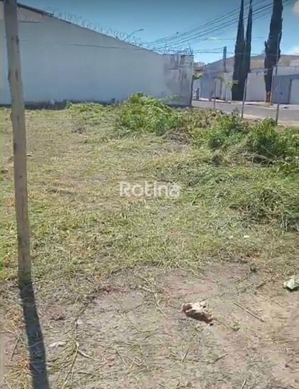 Terreno à venda, em Uberlândia no bairro Bosque dos Buritis no valor de R$ 250.000,00 - Rotina Imobiliária: 