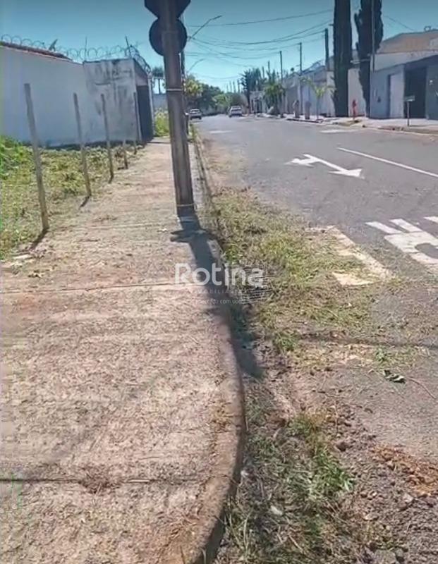 Terreno à venda, em Uberlândia no bairro Bosque dos Buritis no valor de R$ 250.000,00 - Rotina Imobiliária: 