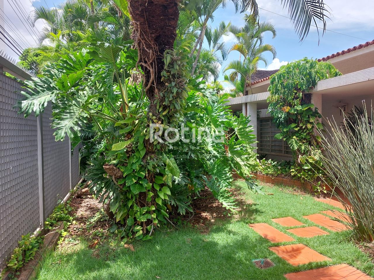 Casa Comercial para alugar, 4 quartos em Uberlândia no bairro Centro no valor de R$ 6.000,00 - Rotina Imobiliária: 