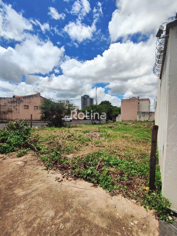 Terreno à venda, em Uberlândia no bairro Pampulha no valor de R$ 350.000,00 - Rotina Imobiliária: 