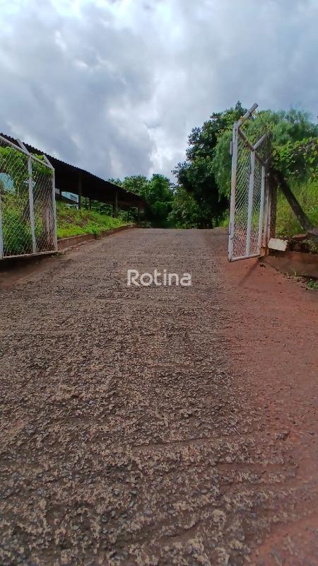 Galpão para alugar, em Uberlândia no bairro Distrito Industrial no valor de R$ 12.500,00 - Rotina Imobiliária: 