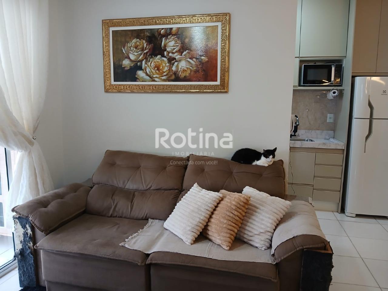 Apartamento à venda, 2 quartos em Uberlândia no bairro Luizote de Freitas no valor de R$ 270.000,00 - Rotina Imobiliária: 
