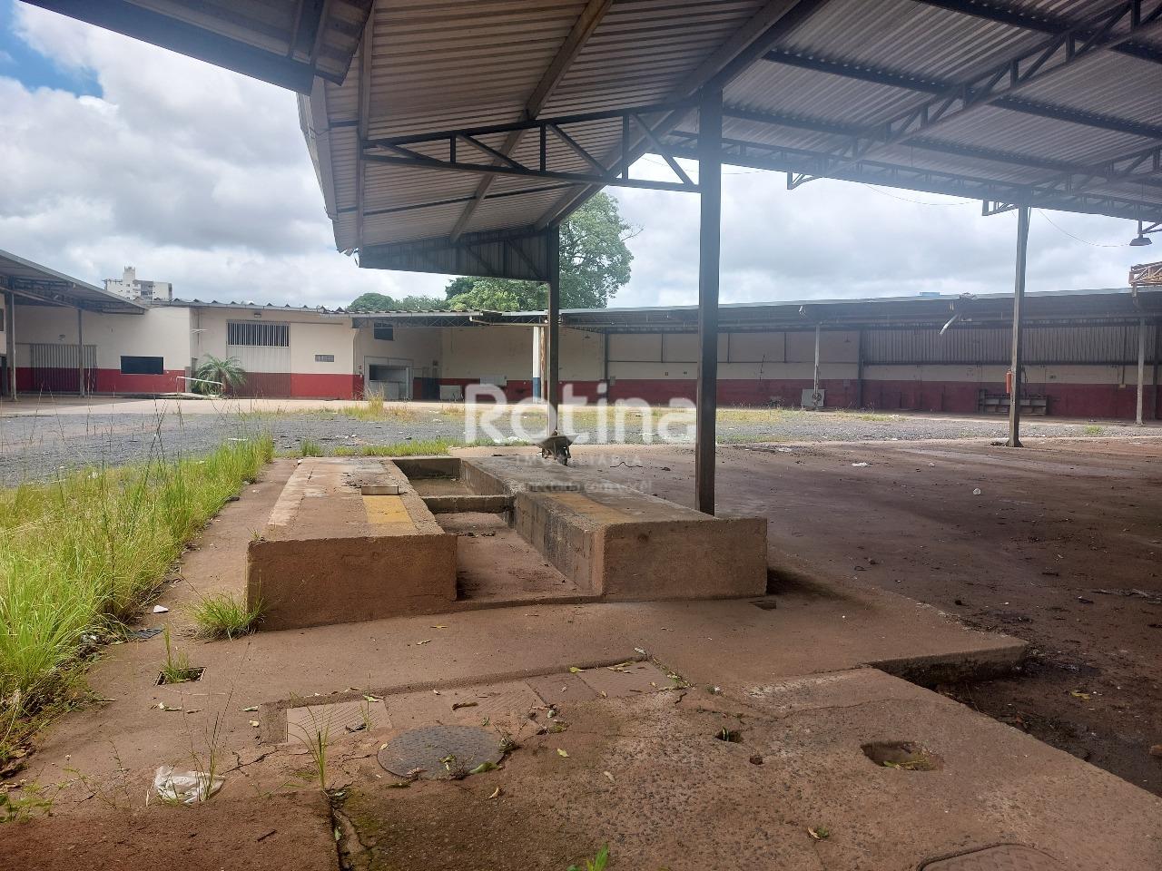 Área para alugar, em Uberlândia no bairro Bom Jesus no valor de R$ 40.000,00 - Rotina Imobiliária: 