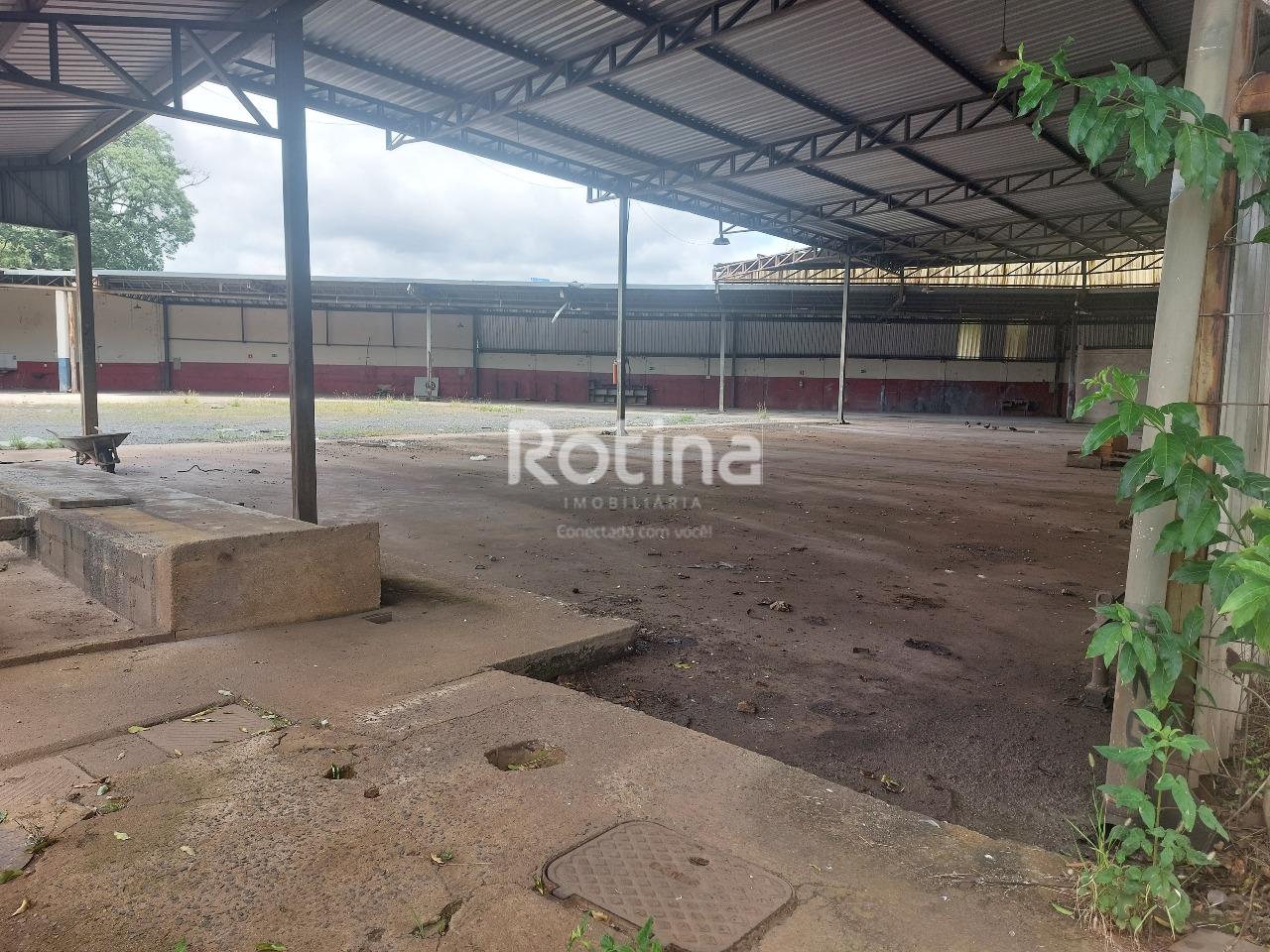 Área para alugar, em Uberlândia no bairro Bom Jesus no valor de R$ 40.000,00 - Rotina Imobiliária: 