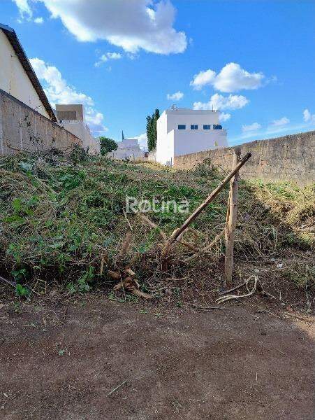 Terreno à venda, em Uberlândia no bairro Cidade Jardim no valor de R$ 420.000,00 - Rotina Imobiliária: 