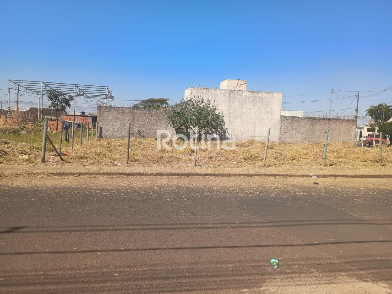Terreno à venda, em Uberlândia no bairro São Jorge no valor de R$ 250.000,00 - Rotina Imobiliária: 