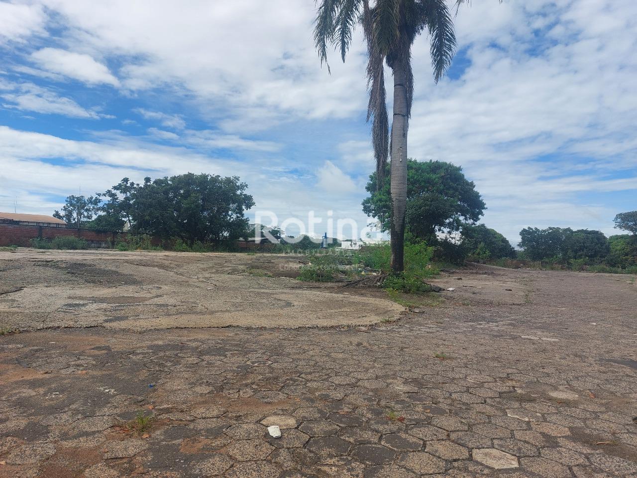Área para alugar, em Uberlândia no bairro Minas Gerais no valor de R$ 18.000,00 - Rotina Imobiliária: 