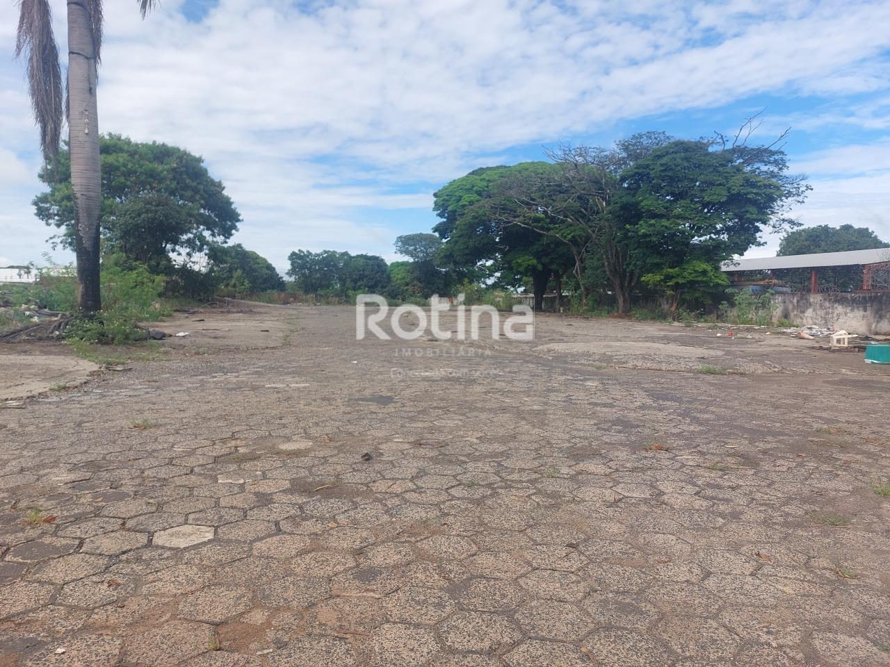 Área para alugar, em Uberlândia no bairro Minas Gerais no valor de R$ 18.000,00 - Rotina Imobiliária: 